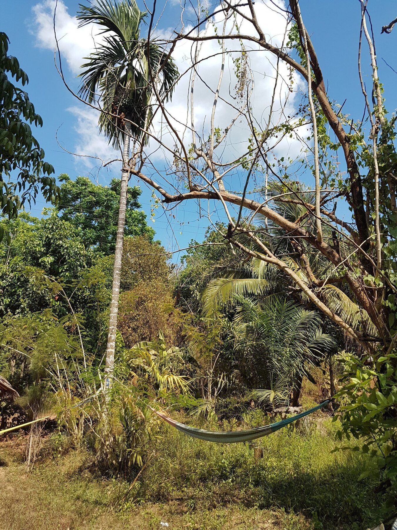 קו לנטה Slacklines Hostel מראה חיצוני תמונה